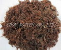 sell Sargassum seaweed Powder 