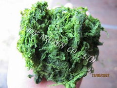 sell Powder Ulva seaweed 