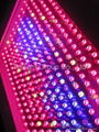 LED plant growth light 300w 4