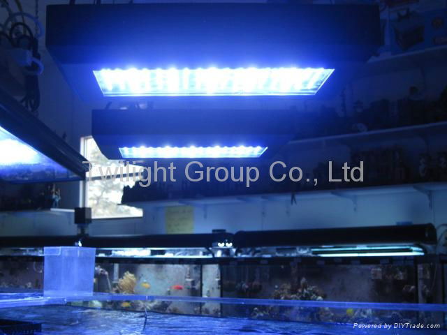 High Power Aquarium Led Lights 300W Blue and White Moon Light 2