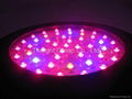 90W Hydro Black Grow Light 6 Band 3W Chips Flowering 90 Watts 3