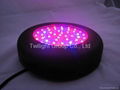 90W Hydro Black Grow Light 6 Band 3W Chips Flowering 90 Watts 4