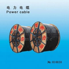 power cable