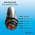 wire sheathed cable 1