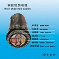 wire sheathed cable 2