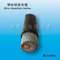 wire sheathed cable 4