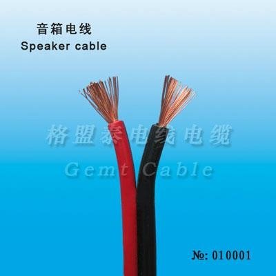speaker cable 2