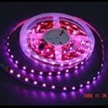 LED strip lights 2