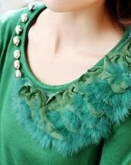 collar with feather 