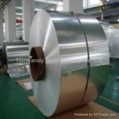 Stainless Steel Strip 