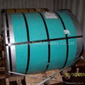 Stainless Steel Coil