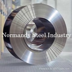 201DQ stainless steel strips