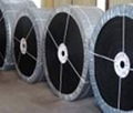 Entire Core Flame Retardant Conveyer Belt(PVC, PVG)