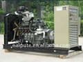 60kW biogas generator set 2