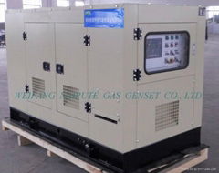 20kW biogas generator set