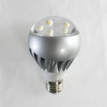 E27 5W Acrylic Led Bulb 2