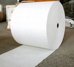 Shandong Pulp and Paper Co,Ltd. 