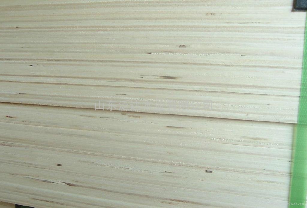 供應優質楊木單板層積材LVL板材