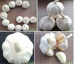 pure white garlic