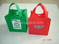 non woven shopping bags 4