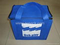 Non woven & nylon Cooler Bag  1