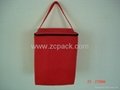 Non woven & nylon Cooler Bag  4