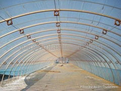 greenhouse film