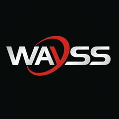 Wayss Enterprise Ltd.