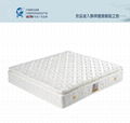 供应天然乳胶品牌床垫（乳胶床垫