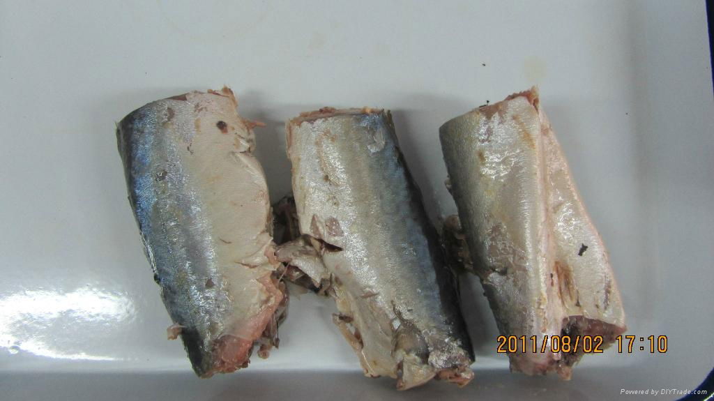 canned mackerel in brine 2