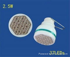 Newest arrived private 2W DC12V LED low price bulb