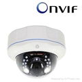 2.0 megapixel indoor&outdoor dome ip camera 1