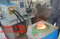 Supply 1-250KG metal melting furnace 1