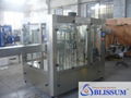 Bottle Filling Machines (CGF-W) 1