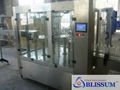 Bottle Filling Machines (CGF-W) 2