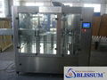 Bottle Filling Machines (CGF-W) 3