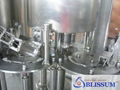 Bottle Filling Machines (CGF-W) 5