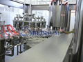 Juice Filling Plant/Machine  5