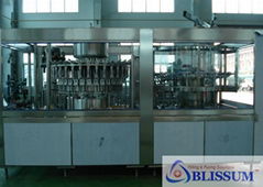 Automatic Fruit Juice Filling Machine for PET Bottle