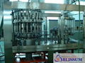 Fruit Juice Filling Machine