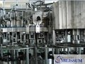 Carbonated Washing Filling Capping Machine 3