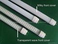 LED 16W T8 Tube with milky cover 3
