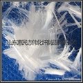 广东聚丙烯纤维价格