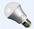 LED Bulbs 1