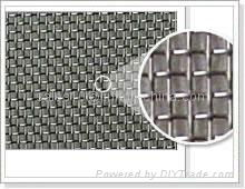 Stainless Steel Wire Mesh 2