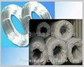 Electro Galvanized Iron Wire