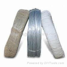 Electro Galvanized Iron Wire 5