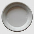 White Plastic Plate 