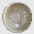 Safe Plastic Round Plate 2