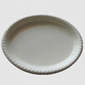 Oval Big Plate  2